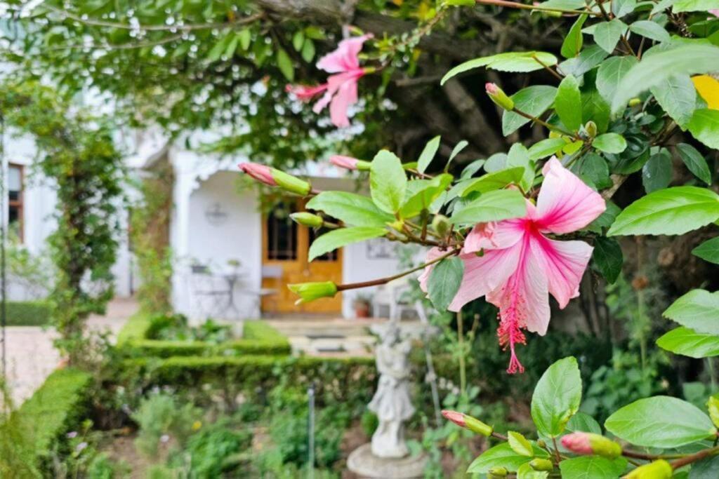 Grey Rabbit Cottage Монтегю Экстерьер фото